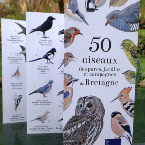 50 oiseaux des parcs, jardins, et campagnes