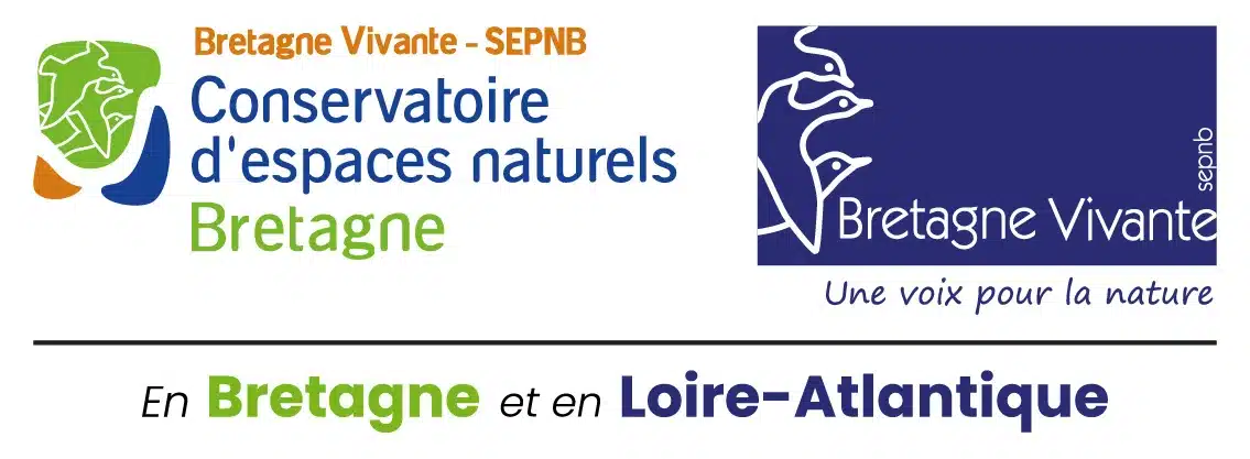 Logo duo