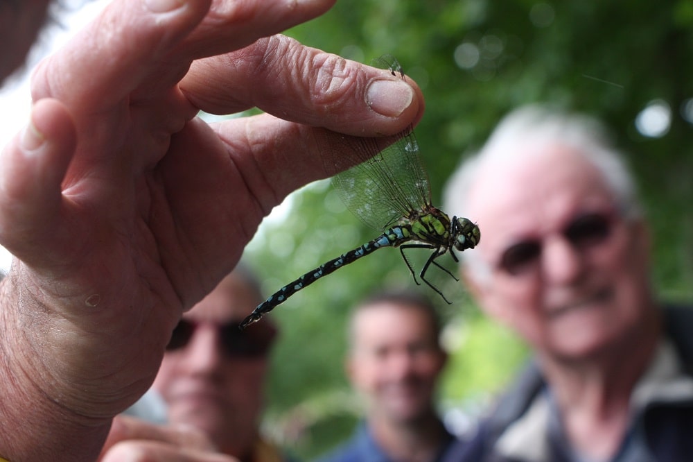 Bénévoles en sortie Bretagne Vivante Libellule