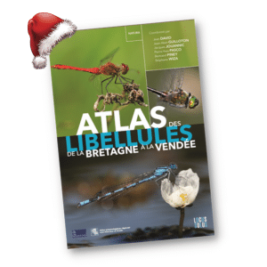 Atlas des libellules de la Bretagne à la Vendée