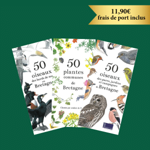 Les 3 guides indispensables : plantes, oiseaux des jardins et des bords de mer