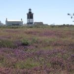 Phare des Chats - Ile de Groix