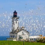 L'île aux Moutons dans l'Archipel des Glénan