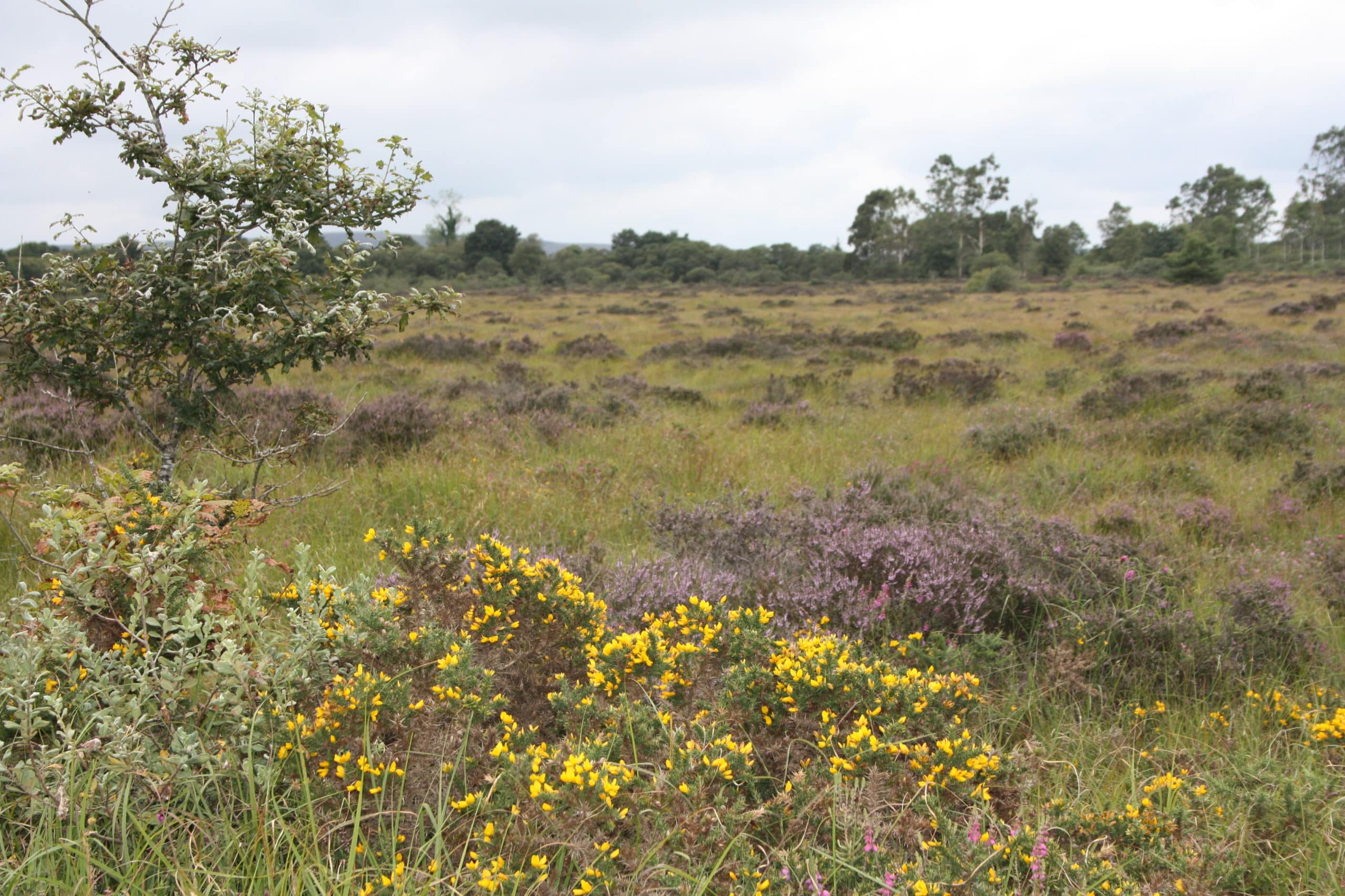 Paysage du Venec