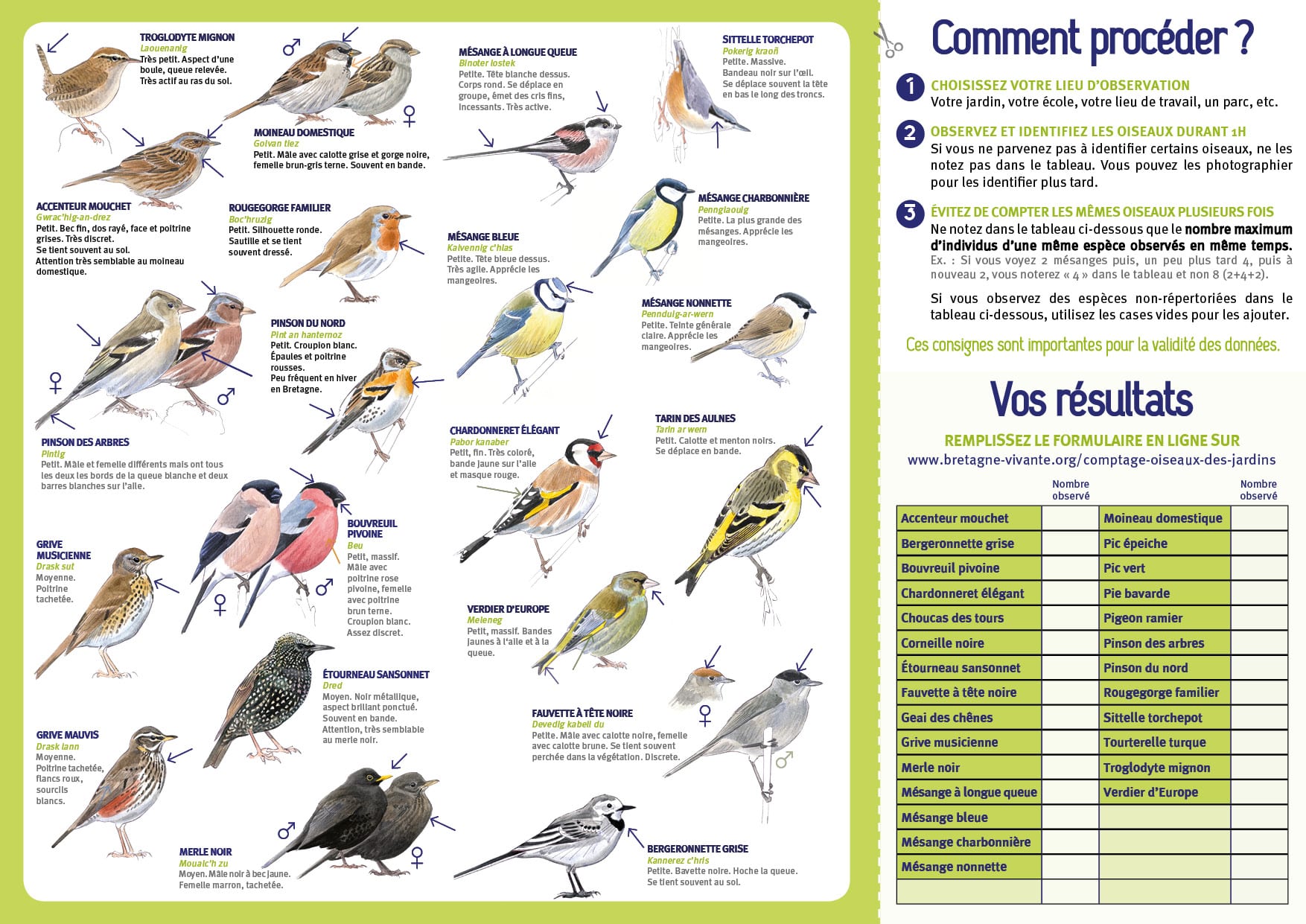 comptage-oiseaux-des-jardins-bretagne-vivante