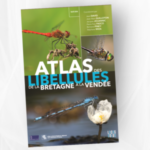 Atlas des libellules de la Bretagne à la Vendée