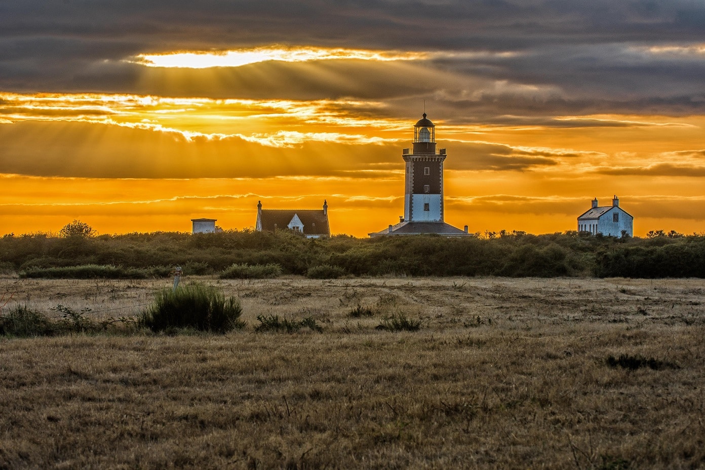 Accueil - Bretagne Vivante