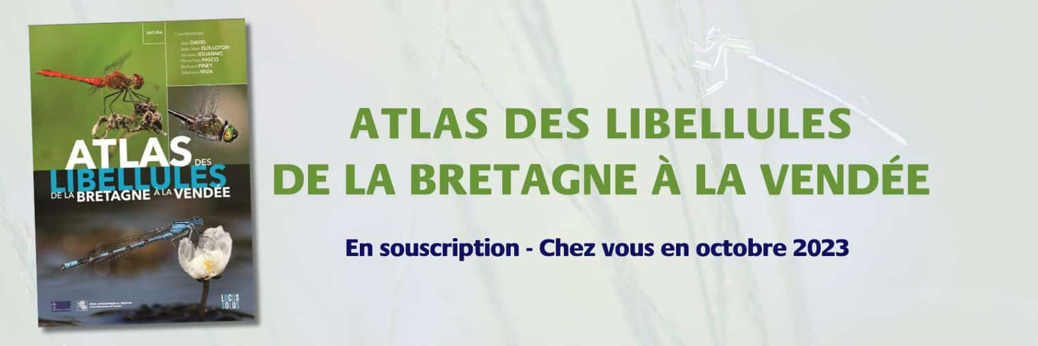 atlas libellules promotion