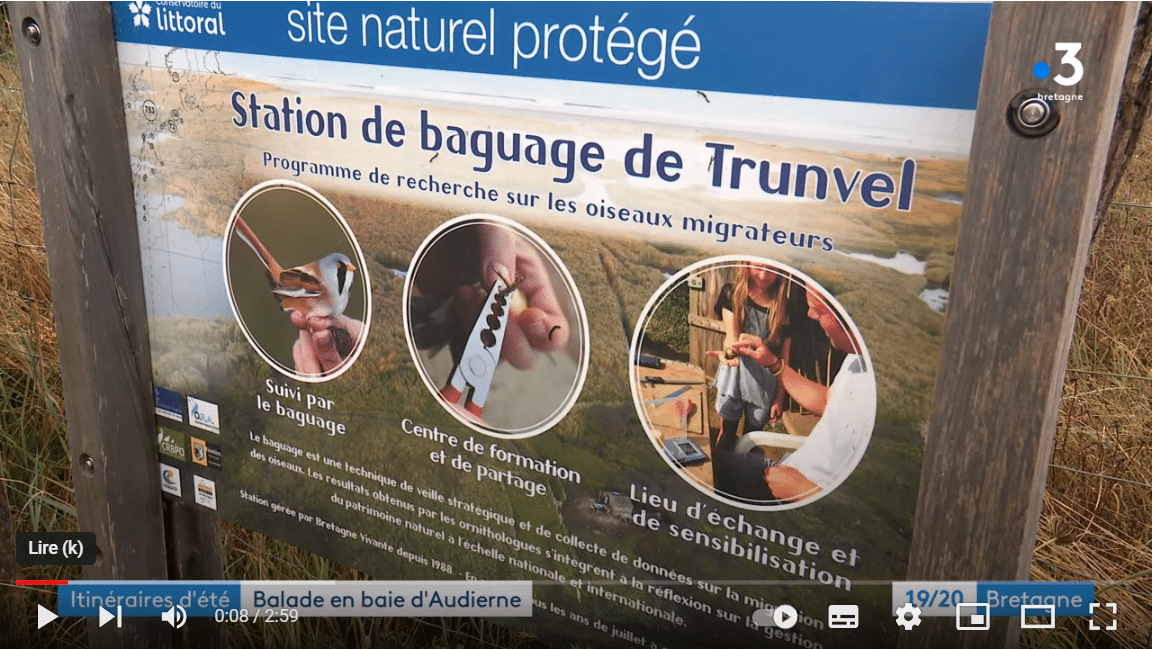 Kit de Champignons à Crinière de Lion – HAPPY CAPS