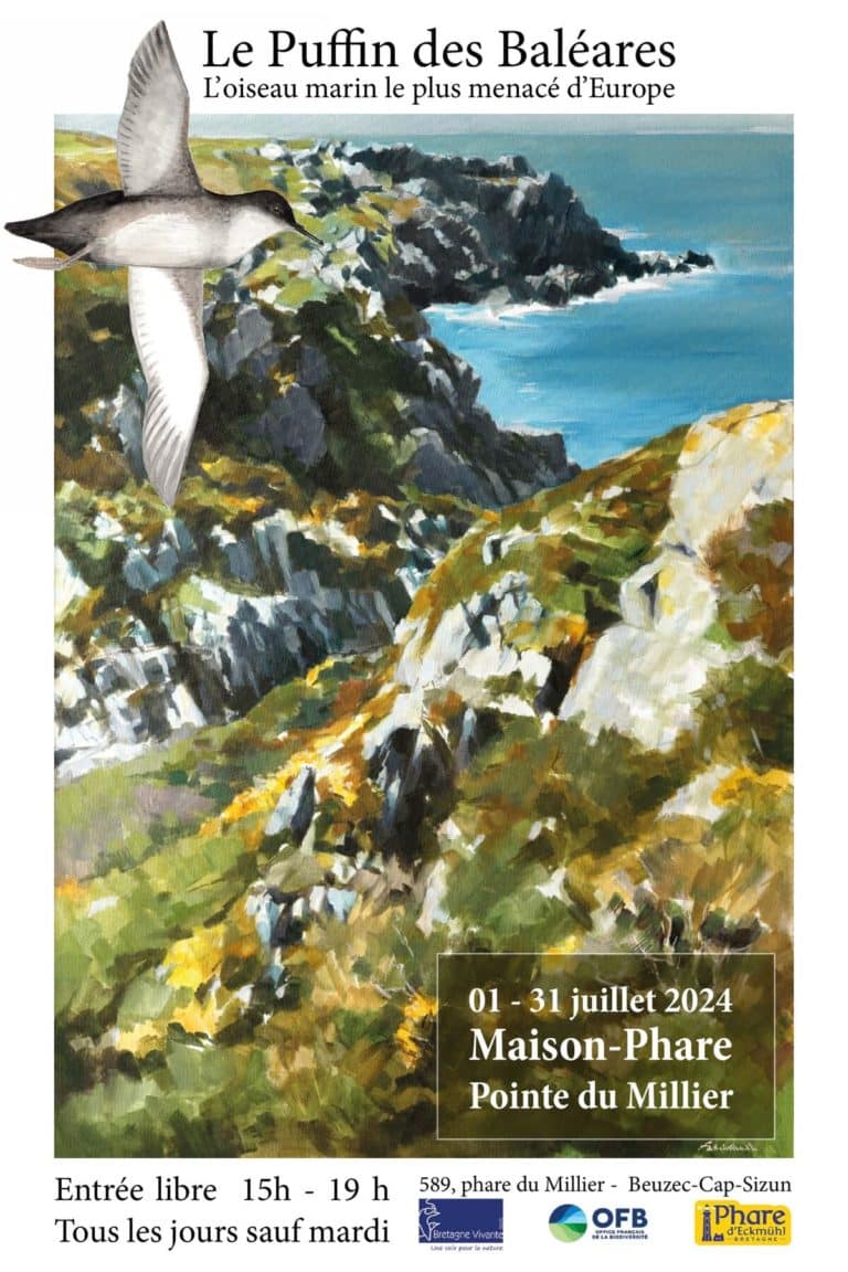 EXPO Puffin des Baléares
