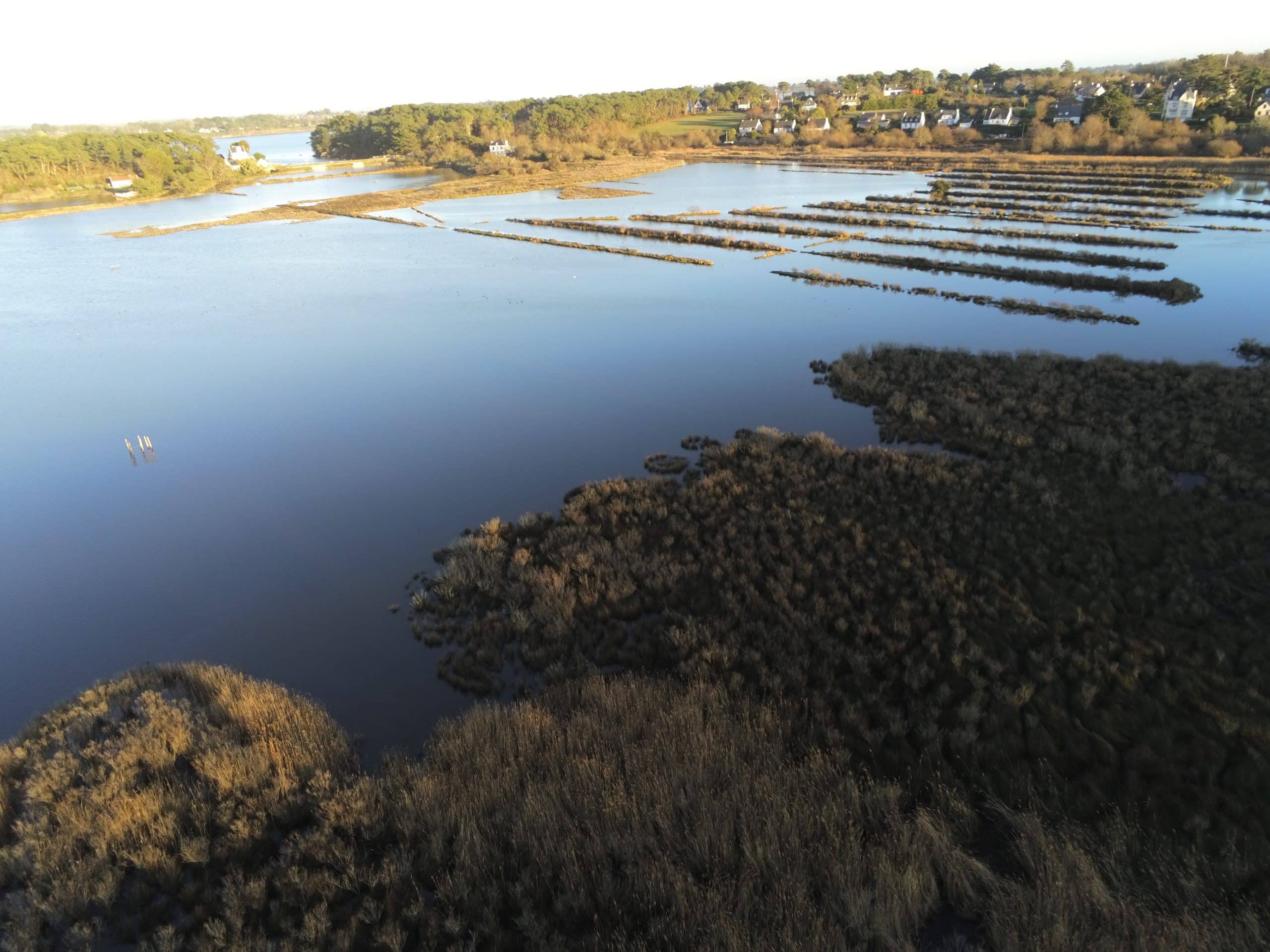 Pen en Toul - Daniel Lasne