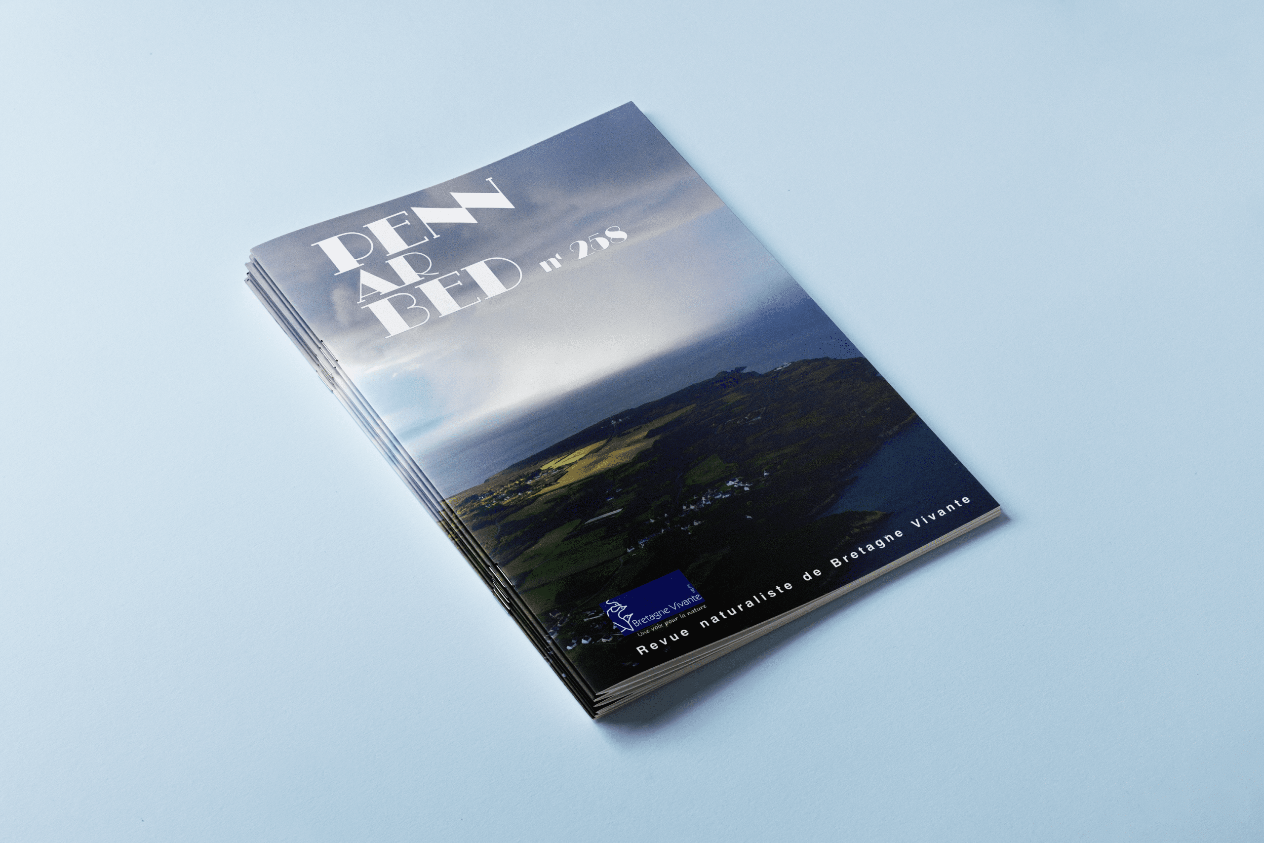 Mock up Penn ar bed 258