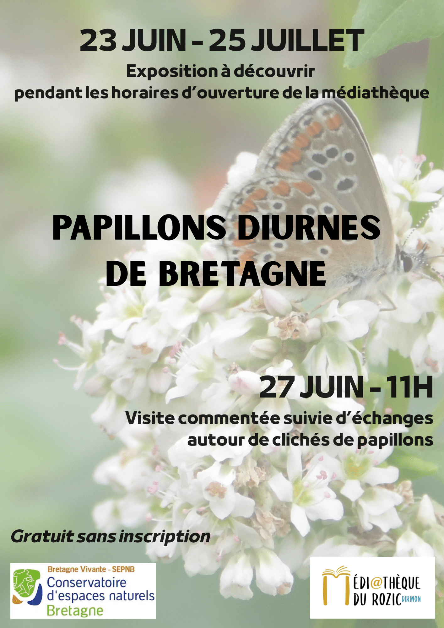 expo papillons Dirinon