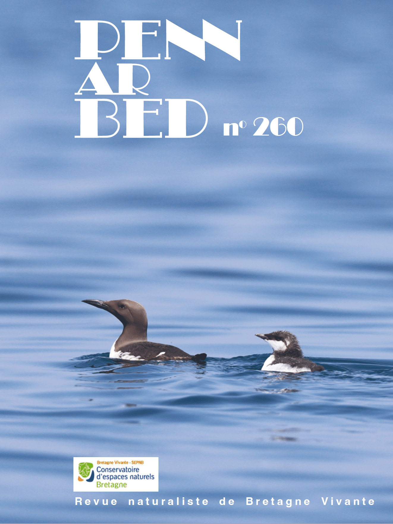Penn ar bed n° 260 – Image 3