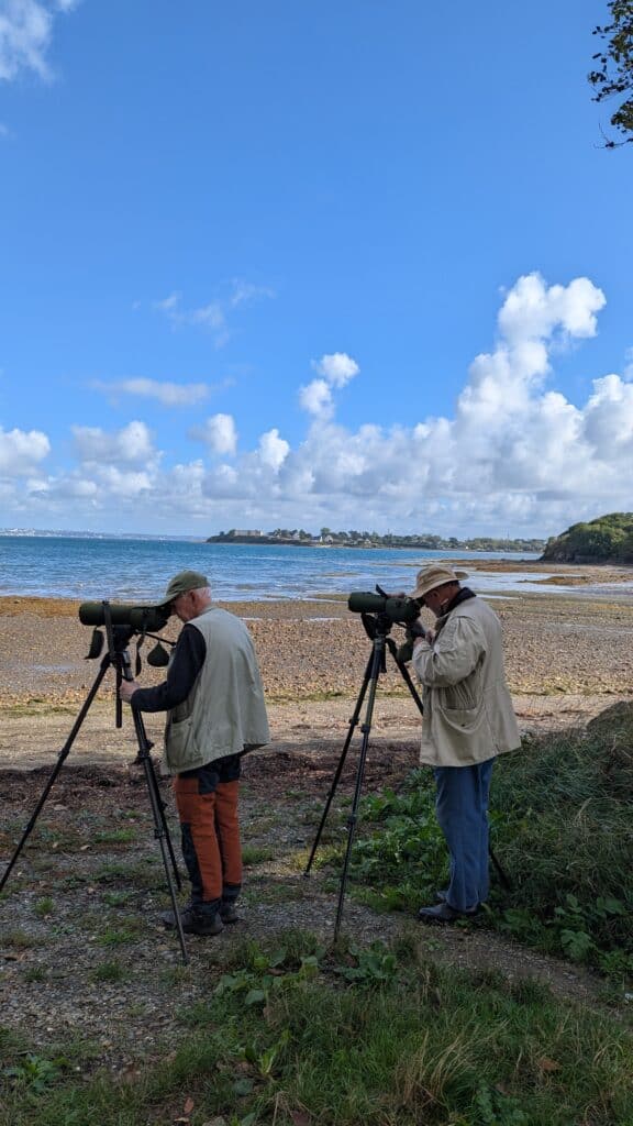 ornithologie St Fiacre