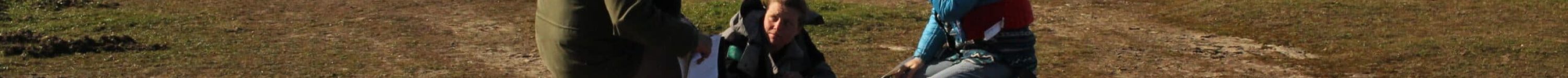 20260330_transect_pelouse_Anouk_Auffret (2)