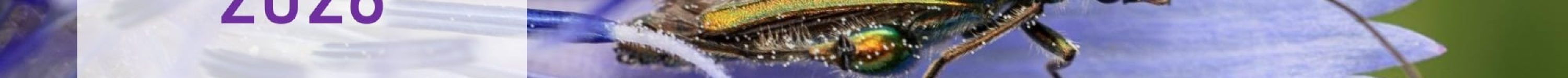 2026_OICB_programme animation_page-0001