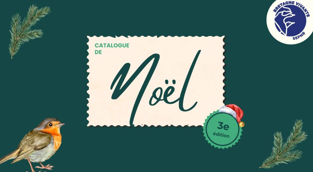 Catalogue de Noel