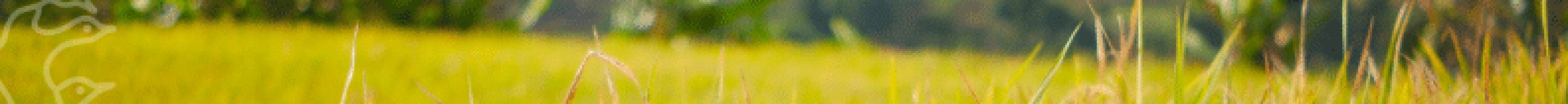 HeaderFooter Luqi - CISION (3)