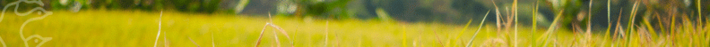 HeaderFooter Luqi - CISION (3)
