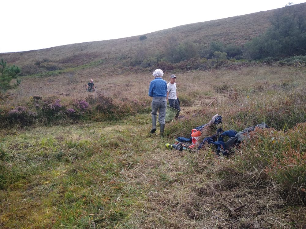 IMG_20250919_122126770