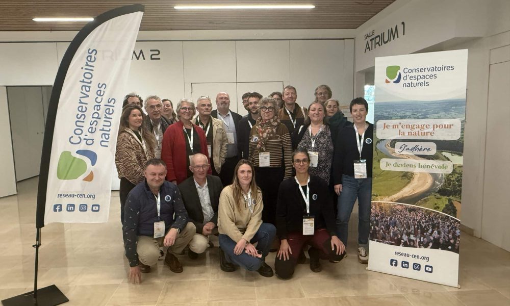 Image_20251127_150322_007