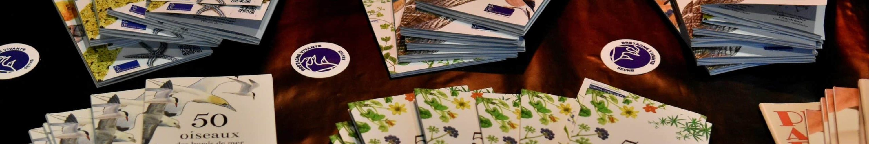 Metalearth_Brest_BretagneVivante