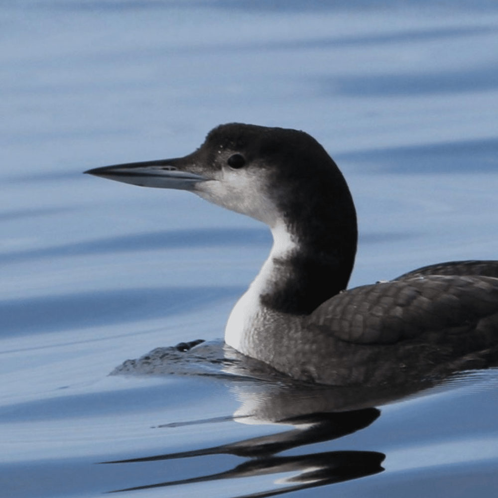 RS DECEMBRE 2025 (24)