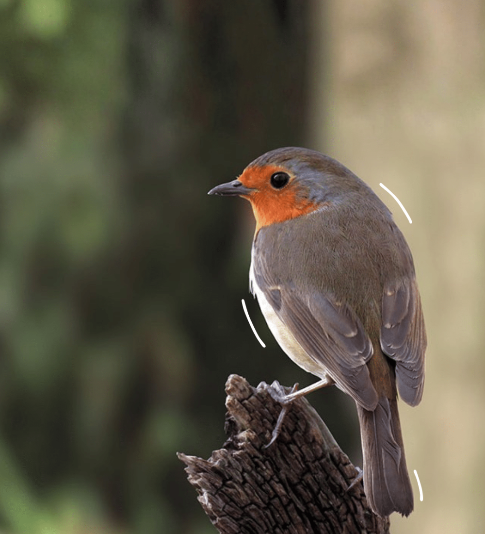 RS DECEMBRE 2025 (7)