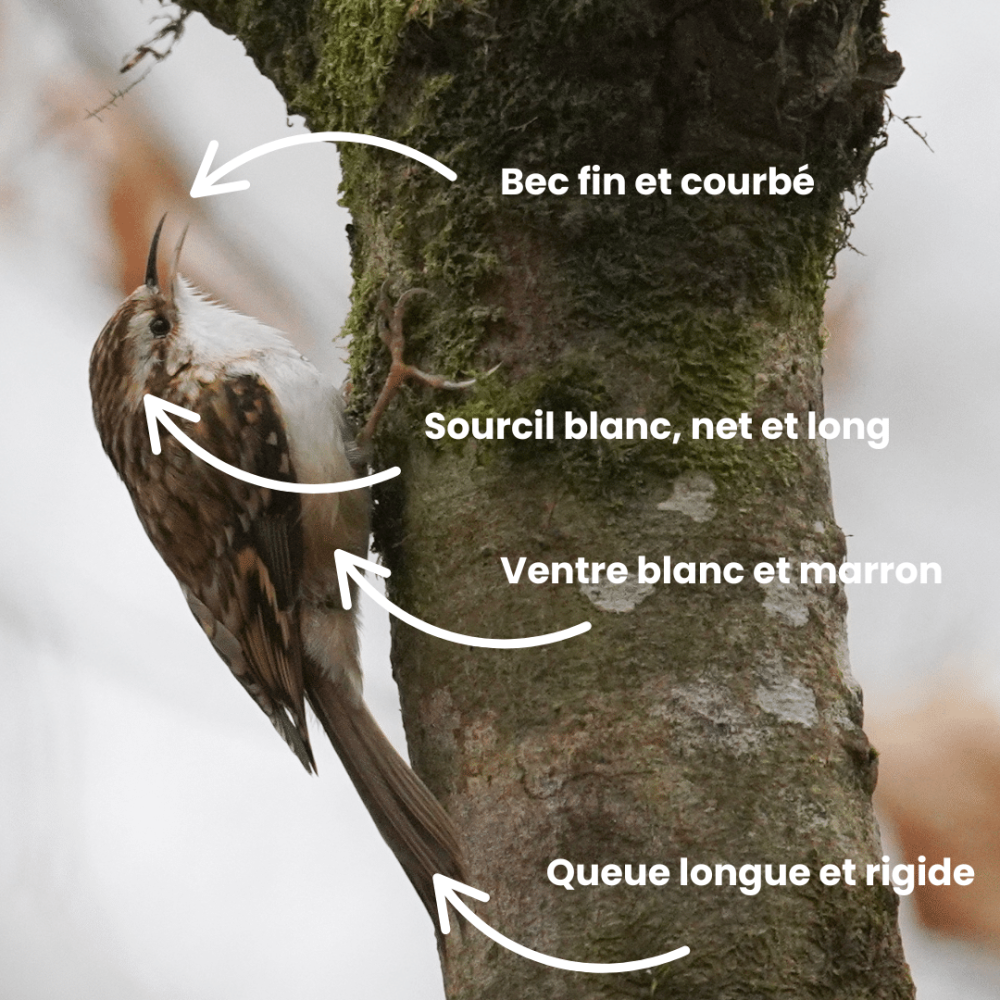 RS NOVEMBRE 2025 (11)