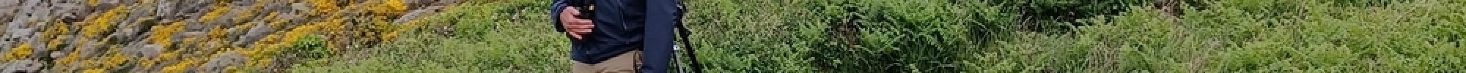 Sortie bota et ornitho à Erquy