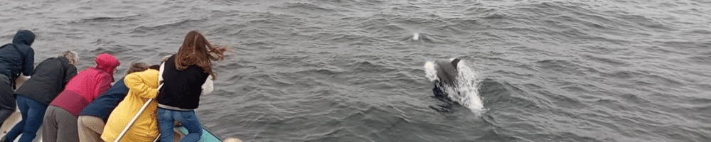 Sorties en mer 2025