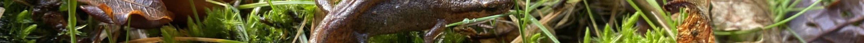 TRITONPALME_TALENSAC_AUDREYDEBIEE_02_2026