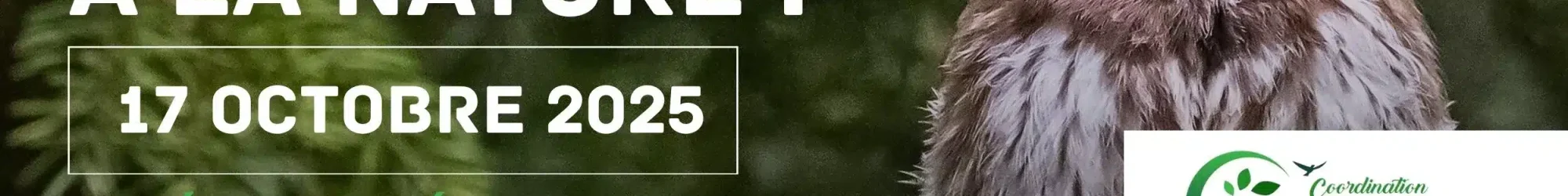 foutons la paix a la nature